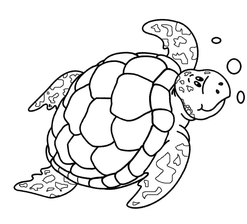 Free printable Tortoise coloring page #180090 from Animals collection