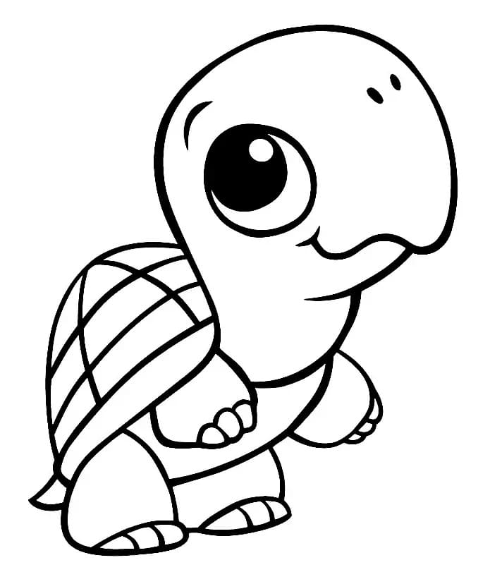 Free printable Tortoise coloring page #180094 from Animals collection