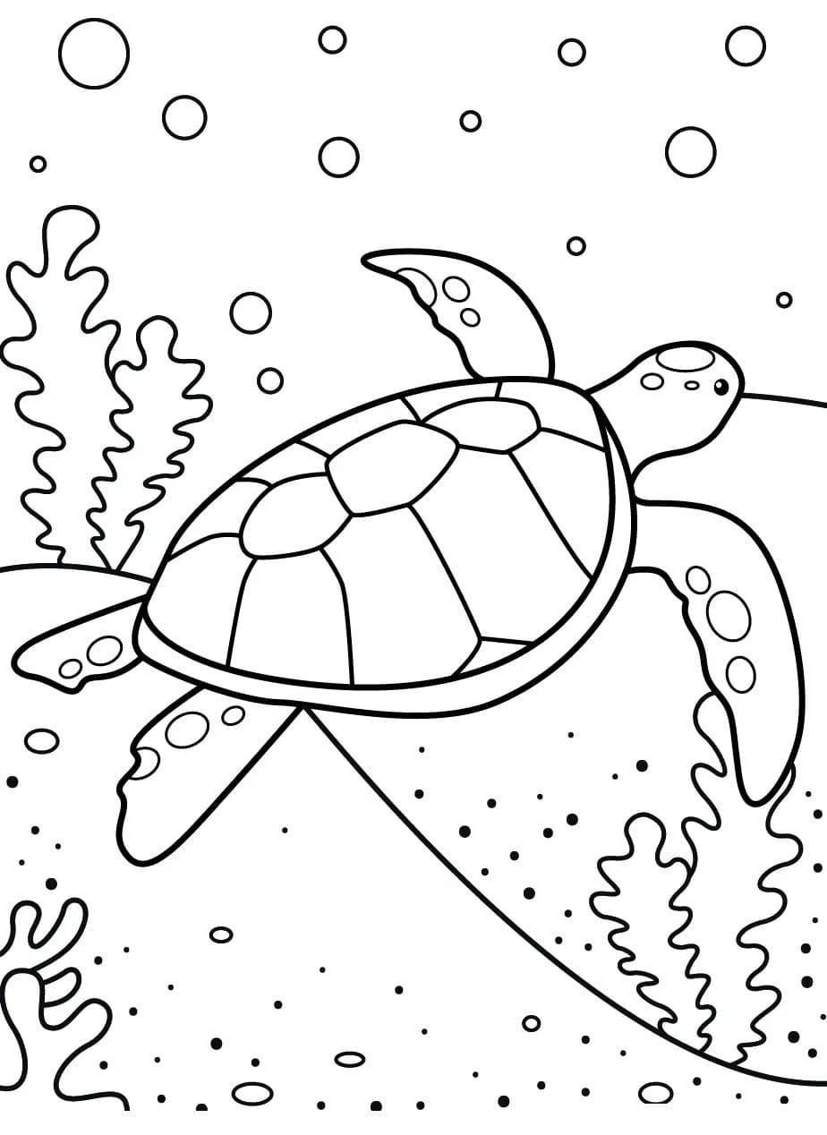 Free printable Tortoise coloring page #180099 from Animals collection