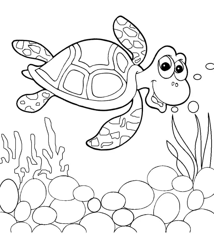 Free printable Tortoise coloring page #180100 from Animals collection
