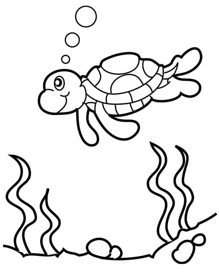 Free printable Tortoise coloring page #180104 from Animals collection Free printable Tortoise coloring page #180104 from Animals collection