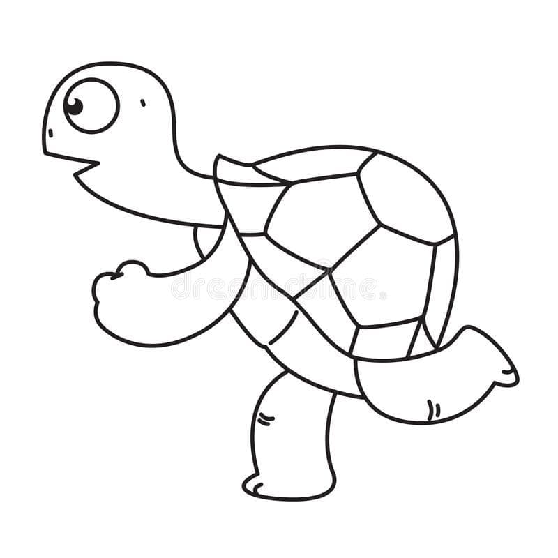 Free printable Tortoise coloring page #180112 from Animals collection