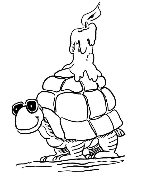 Free printable Tortoise coloring page #180114 from Animals collection