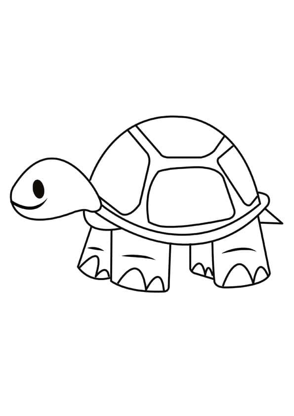 Free printable Tortoise coloring page #180115 from Animals collection