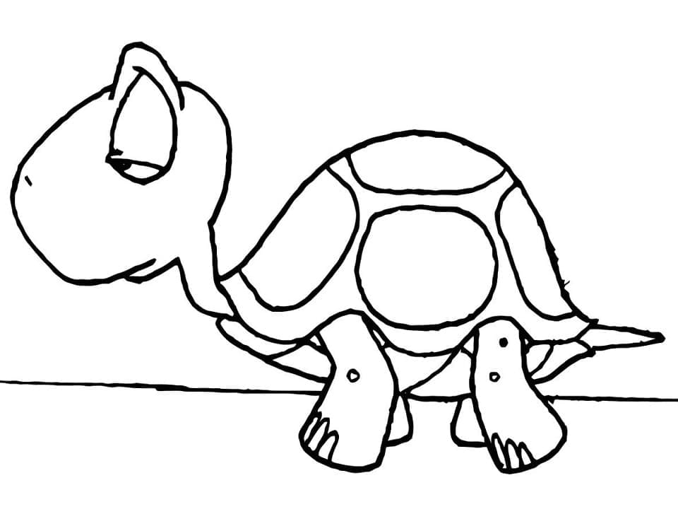 Free printable Tortoise coloring page #180117 from Animals collection