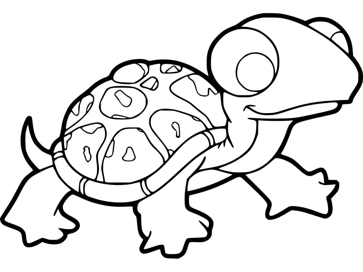 Free printable Tortoise coloring page #217138 from Animals collection