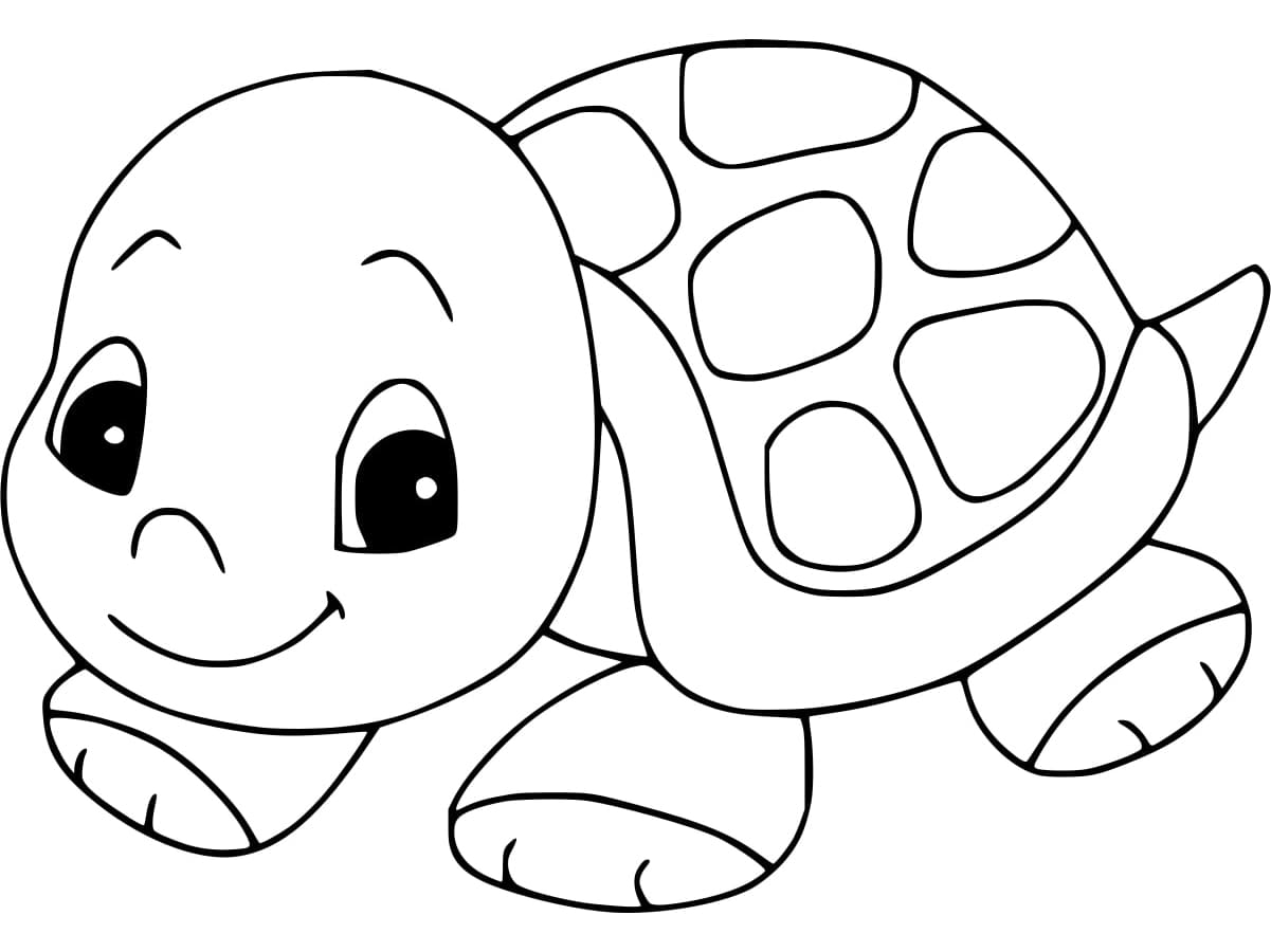 Free printable Tortoise coloring page #217141 from Animals collection