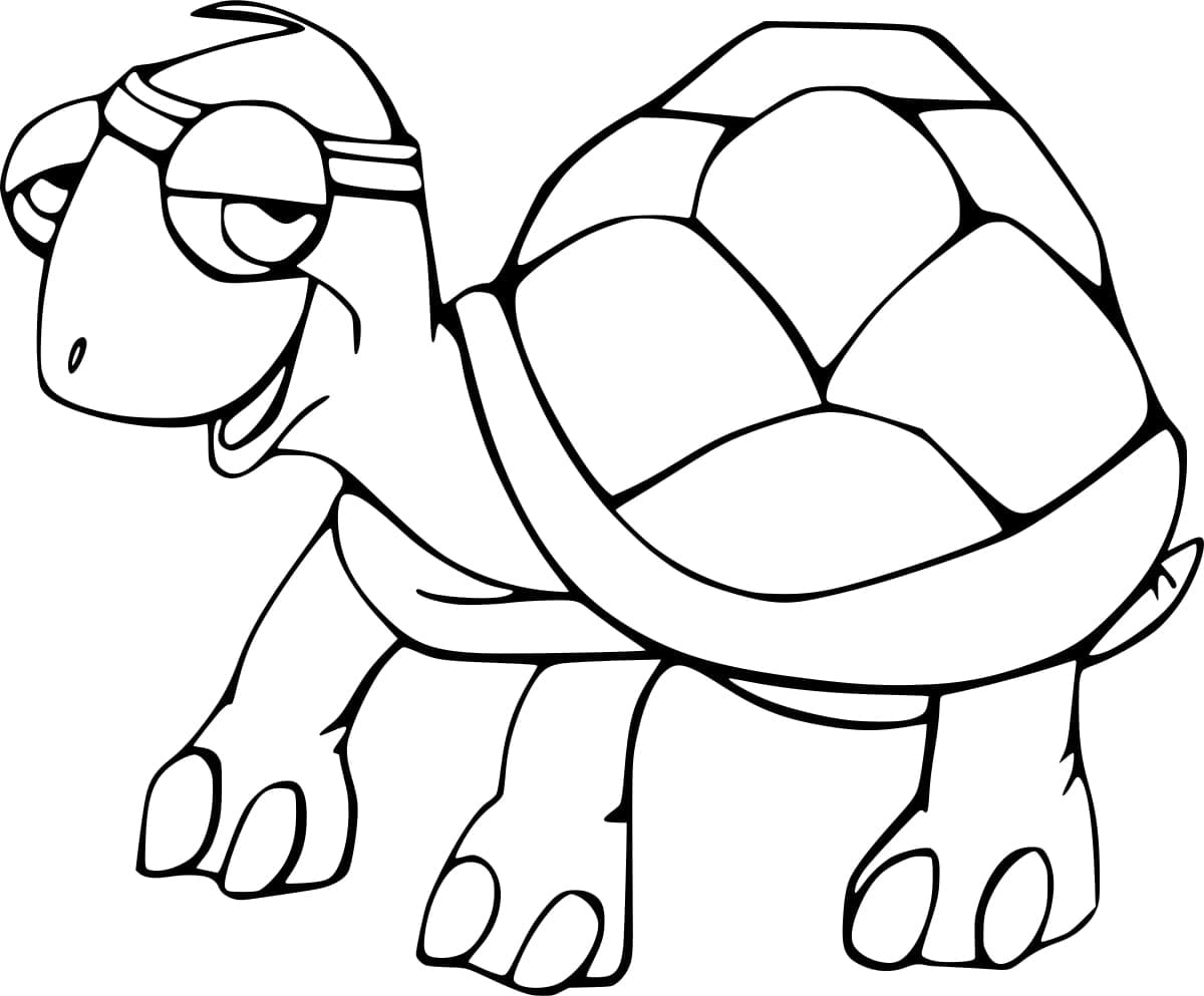 Free printable Tortoise coloring page #217142 from Animals collection