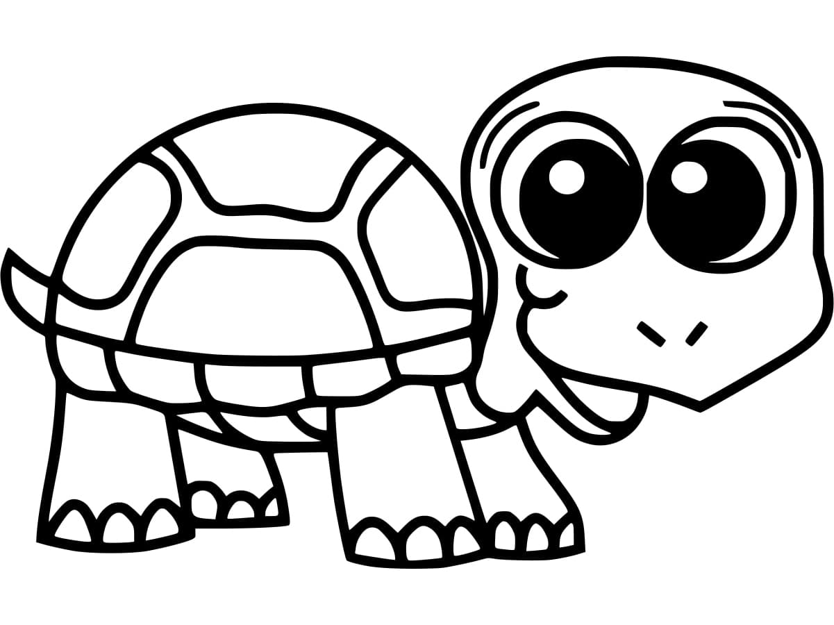 Free printable Tortoise coloring page #217144 from Animals collection