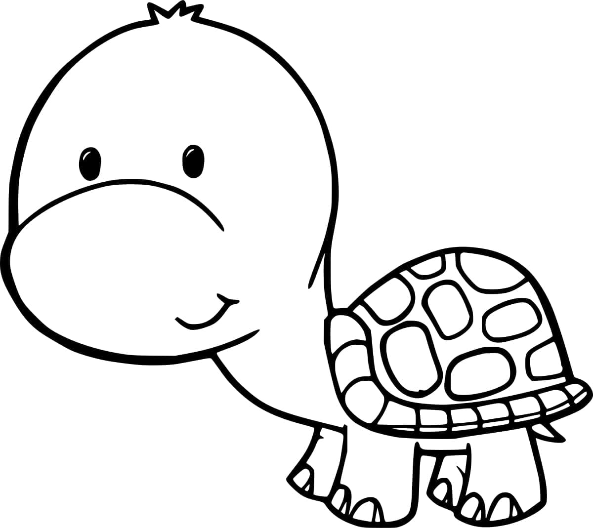 Free printable Tortoise coloring page #217149 from Animals collection