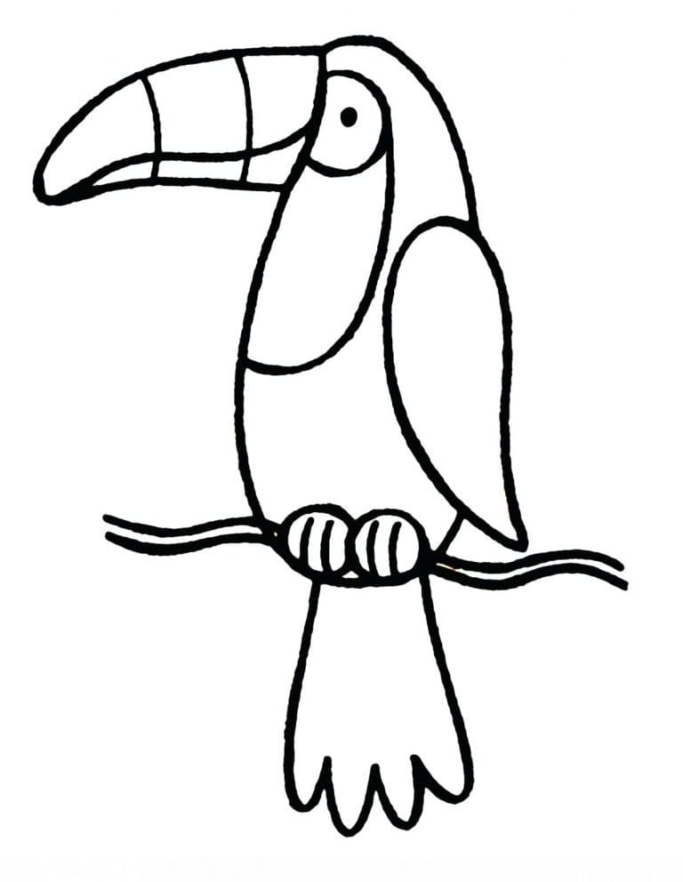 Free printable Toucan coloring page #197549 from Animals collection Free printable Toucan coloring page #197549 from Animals collection