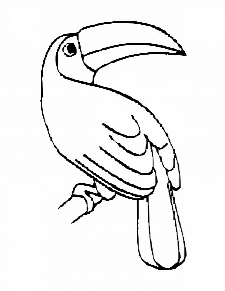 Free printable Toucan coloring page #197550 from Animals collection Free printable Toucan coloring page #197550 from Animals collection