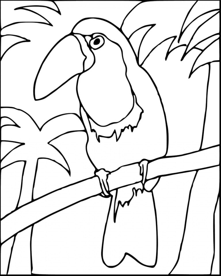Free printable Toucan coloring page #197557 from Animals collection Free printable Toucan coloring page #197557 from Animals collection