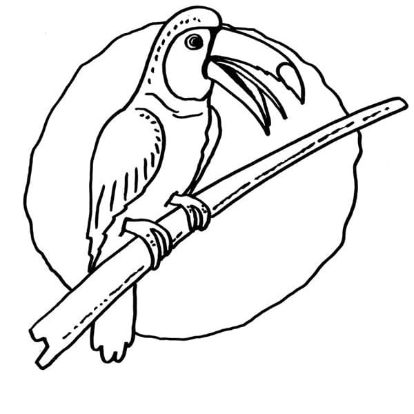 Free printable Toucan coloring page #197560 from Animals collection