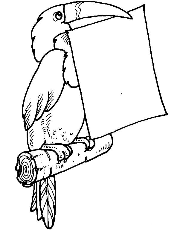 Free printable Toucan coloring page #197563 from Animals collection