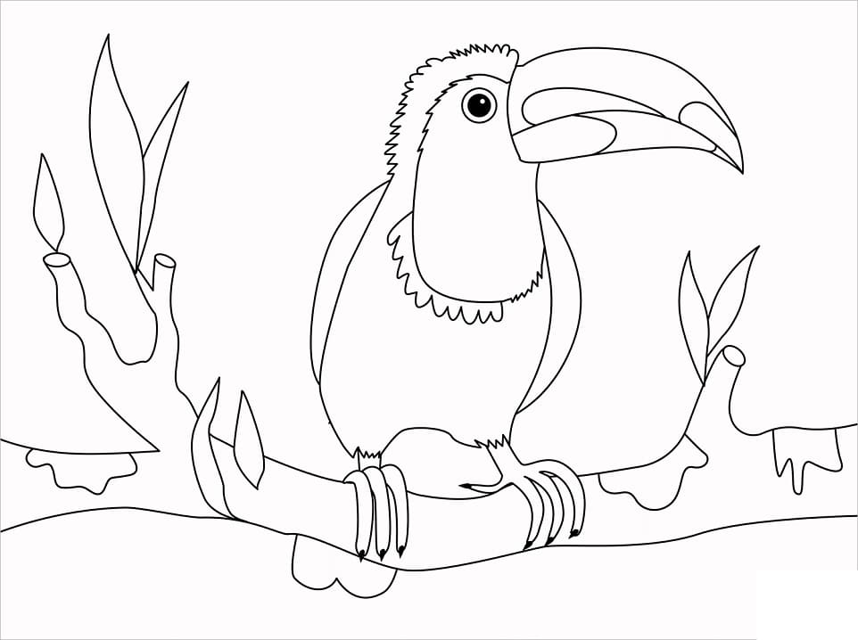 Free printable Toucan coloring page #197565 from Animals collection Free printable Toucan coloring page #197565 from Animals collection