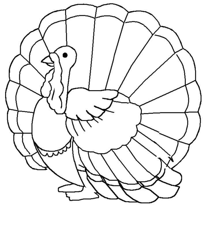 Coloring page: Turkey (Animals) #5290 - Free Printable Coloring Pages