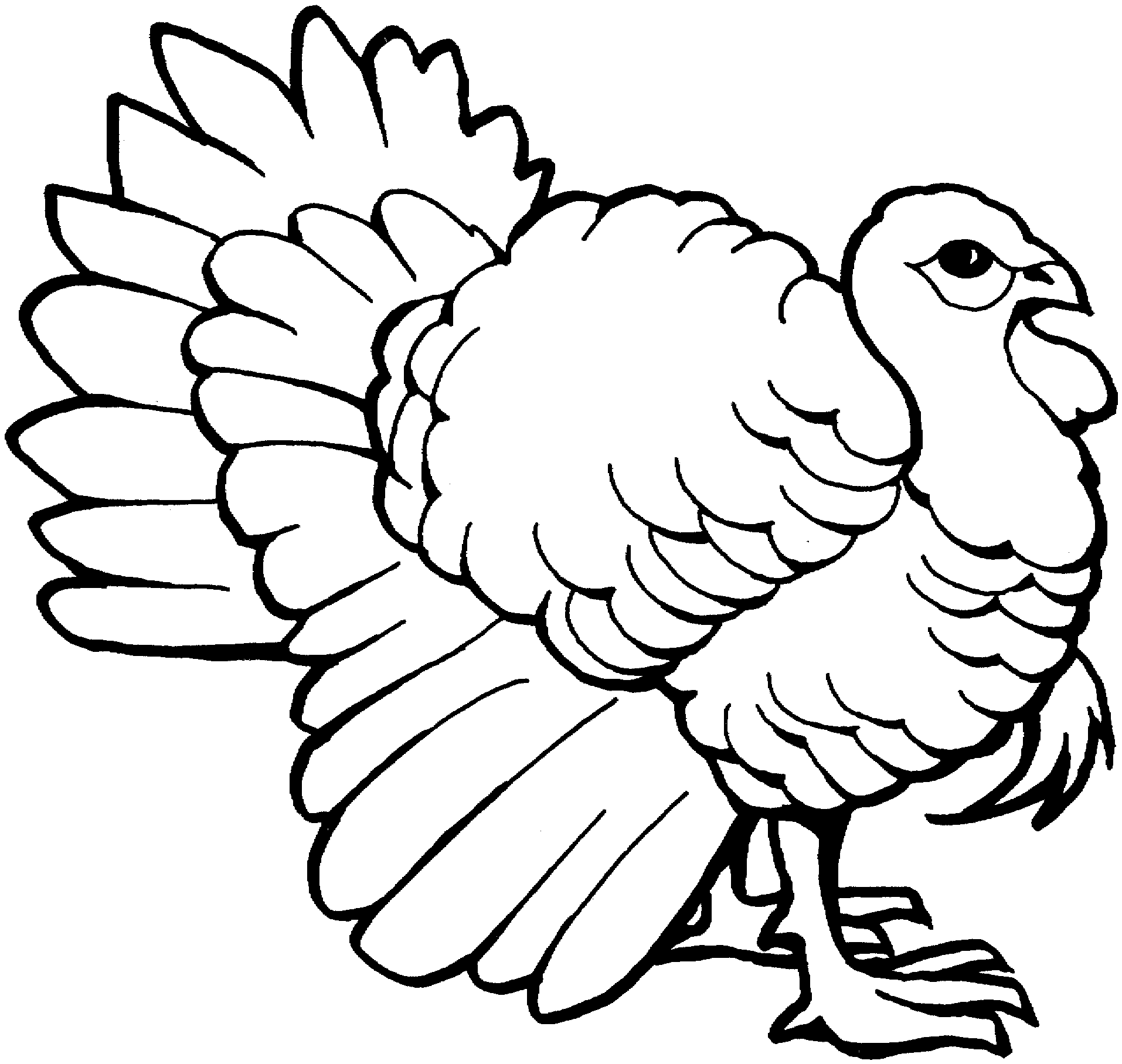 Coloring page: Turkey (Animals) #5315 - Free Printable Coloring Pages