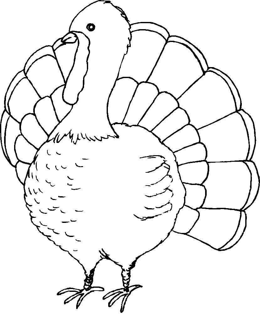 Coloring page: Turkey (Animals) #5319 - Free Printable Coloring Pages