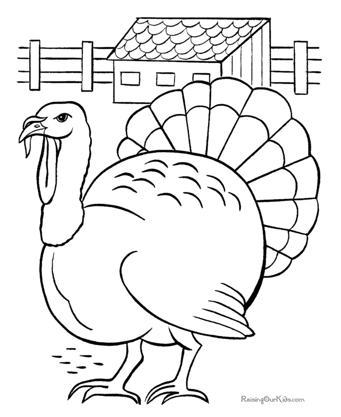 Drawing Turkey #5320 (Animals) – Printable coloring pages