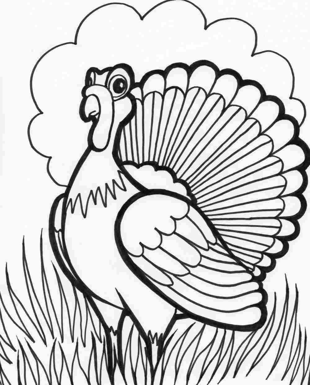 Coloring page: Turkey (Animals) #5322 - Free Printable Coloring Pages