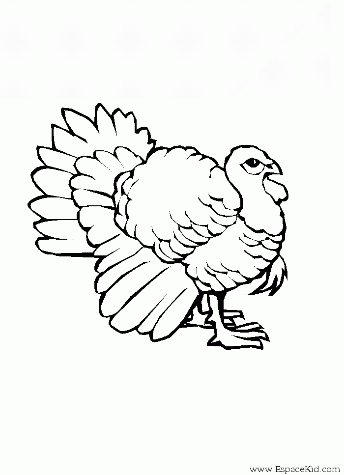 Coloring page: Turkey (Animals) #5330 - Free Printable Coloring Pages