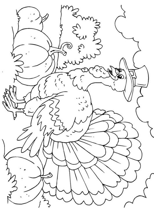 Coloring page: Turkey (Animals) #5341 - Free Printable Coloring Pages