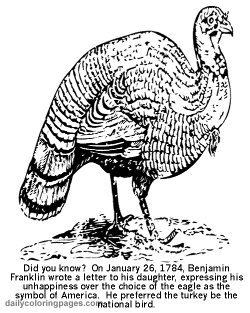 Coloring page: Turkey (Animals) #5356 - Free Printable Coloring Pages