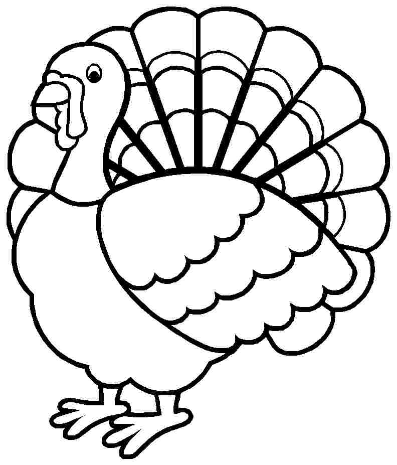 Drawing Turkey #5363 (Animals) – Printable coloring pages