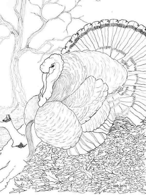 Coloring page: Turkey (Animals) #5390 - Free Printable Coloring Pages