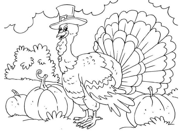 Coloring page: Turkey (Animals) #5399 - Free Printable Coloring Pages