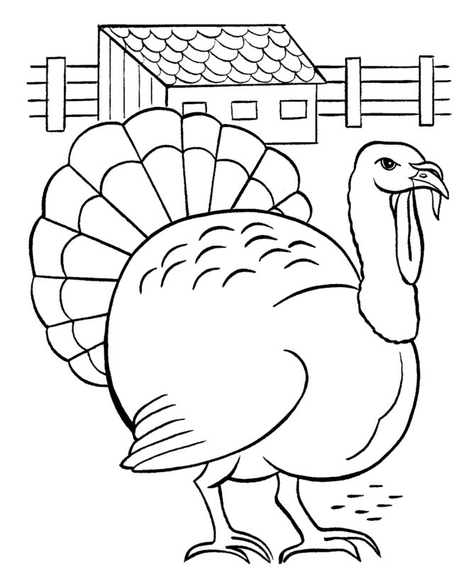 Coloring page: Turkey (Animals) #5418 - Free Printable Coloring Pages
