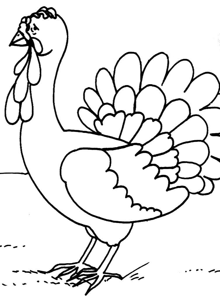 Coloring page: Turkey (Animals) #5443 - Free Printable Coloring Pages