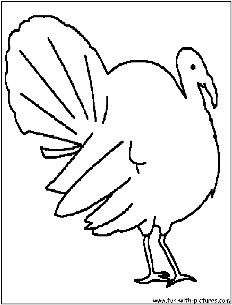 Coloring page: Turkey (Animals) #5465 - Free Printable Coloring Pages