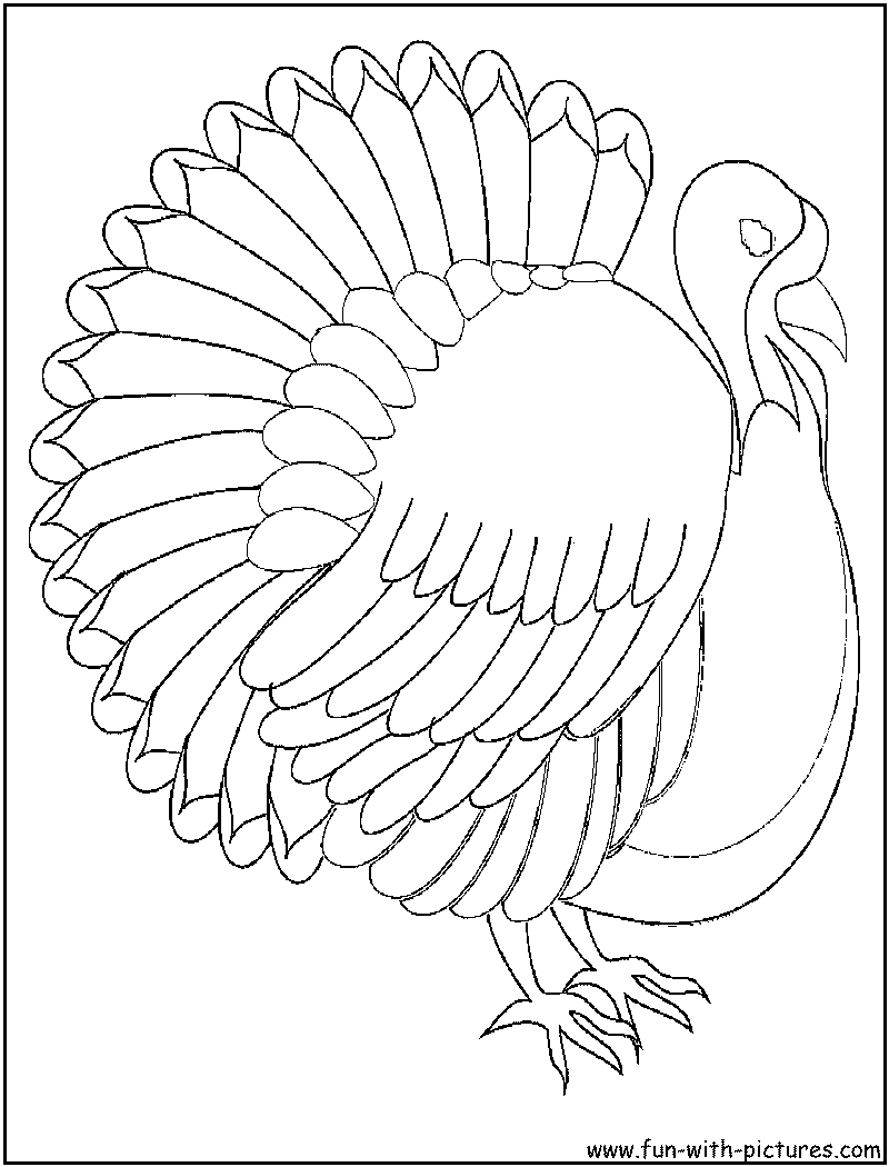 Coloring page: Turkey (Animals) #5472 - Free Printable Coloring Pages
