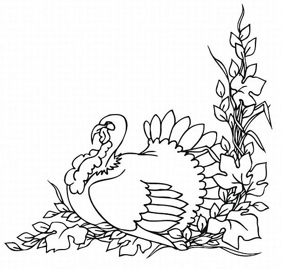 Coloring page: Turkey (Animals) #5478 - Free Printable Coloring Pages