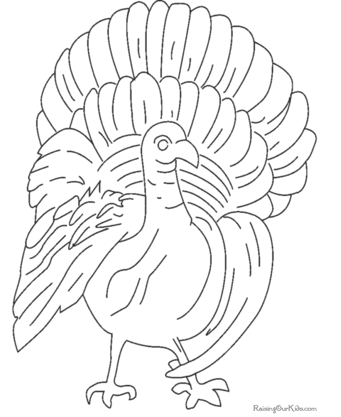 Coloring page: Turkey (Animals) #5482 - Free Printable Coloring Pages