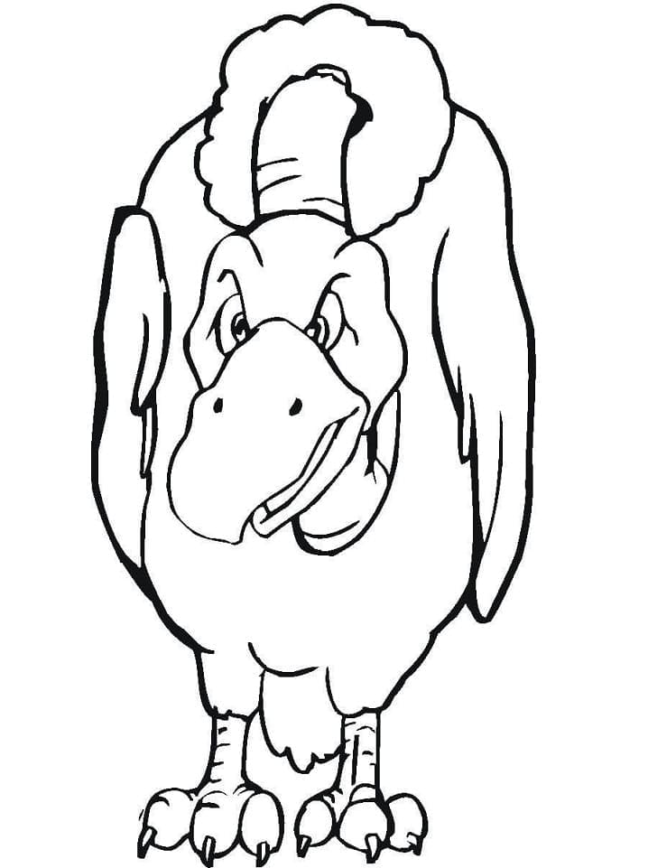 Free printable Vulture coloring page #205311 from Animals collection Free printable Vulture coloring page #205311 from Animals collection