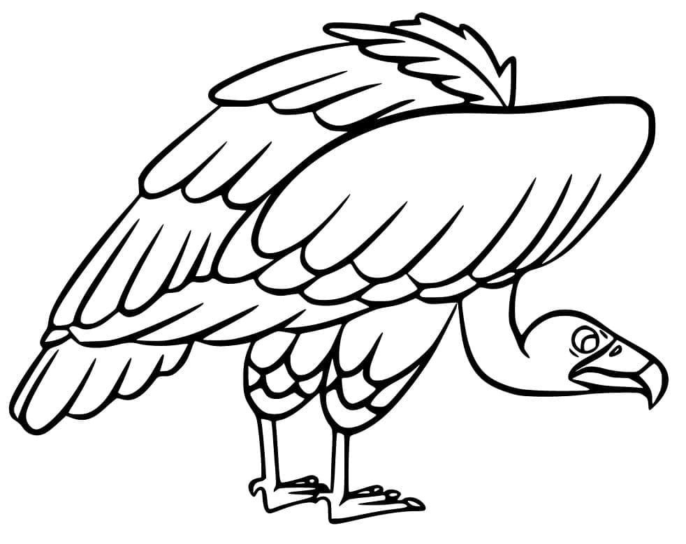 Free printable Vulture coloring page #205325 from Animals collection