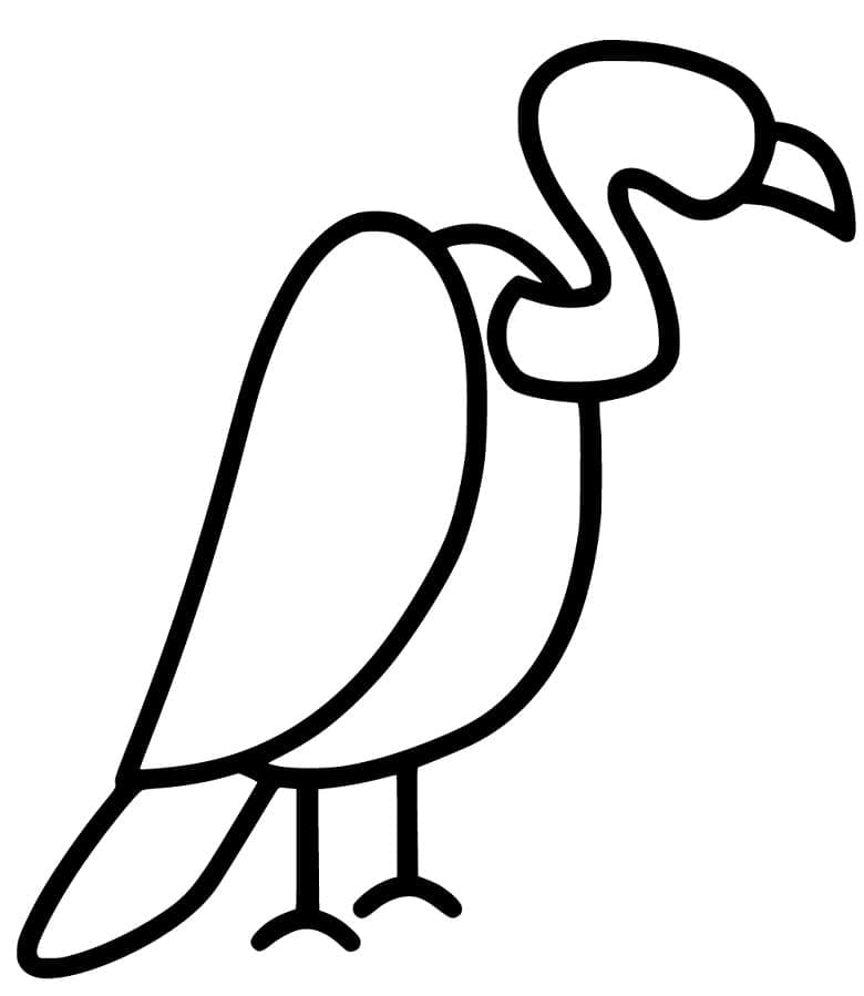 Free printable Vulture coloring page #205349 from Animals collection Free printable Vulture coloring page #205349 from Animals collection