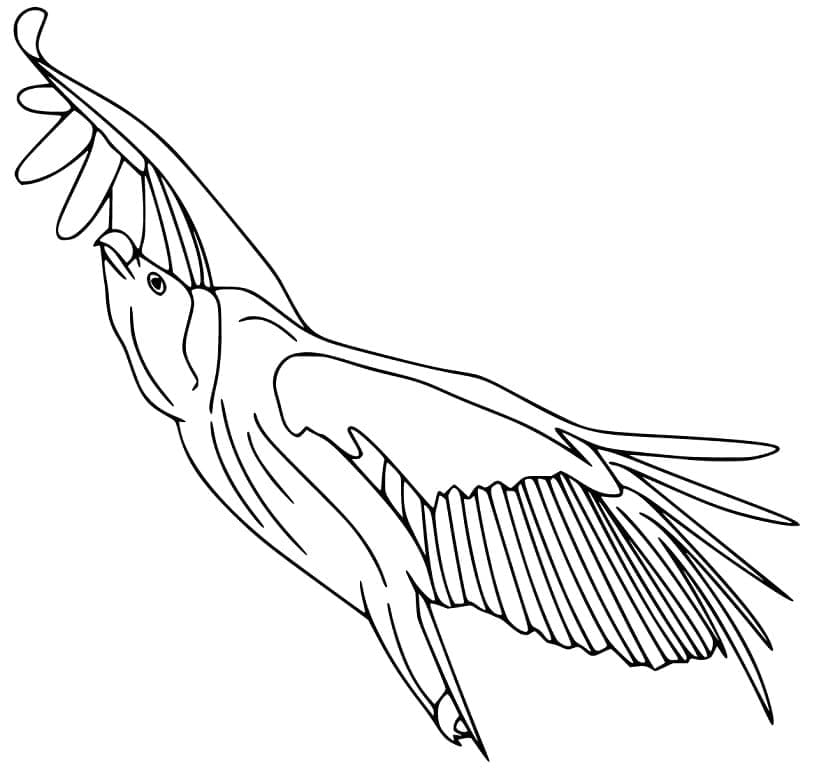 Free printable Vulture coloring page #205350 from Animals collection
