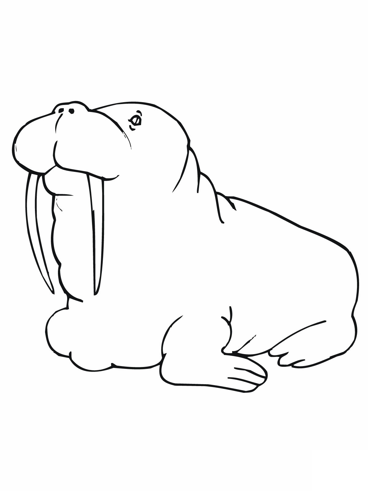Coloring page: Walrus (Animals) #16481 - Free Printable Coloring Pages