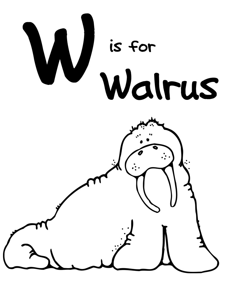Coloring page: Walrus (Animals) #16502 - Free Printable Coloring Pages