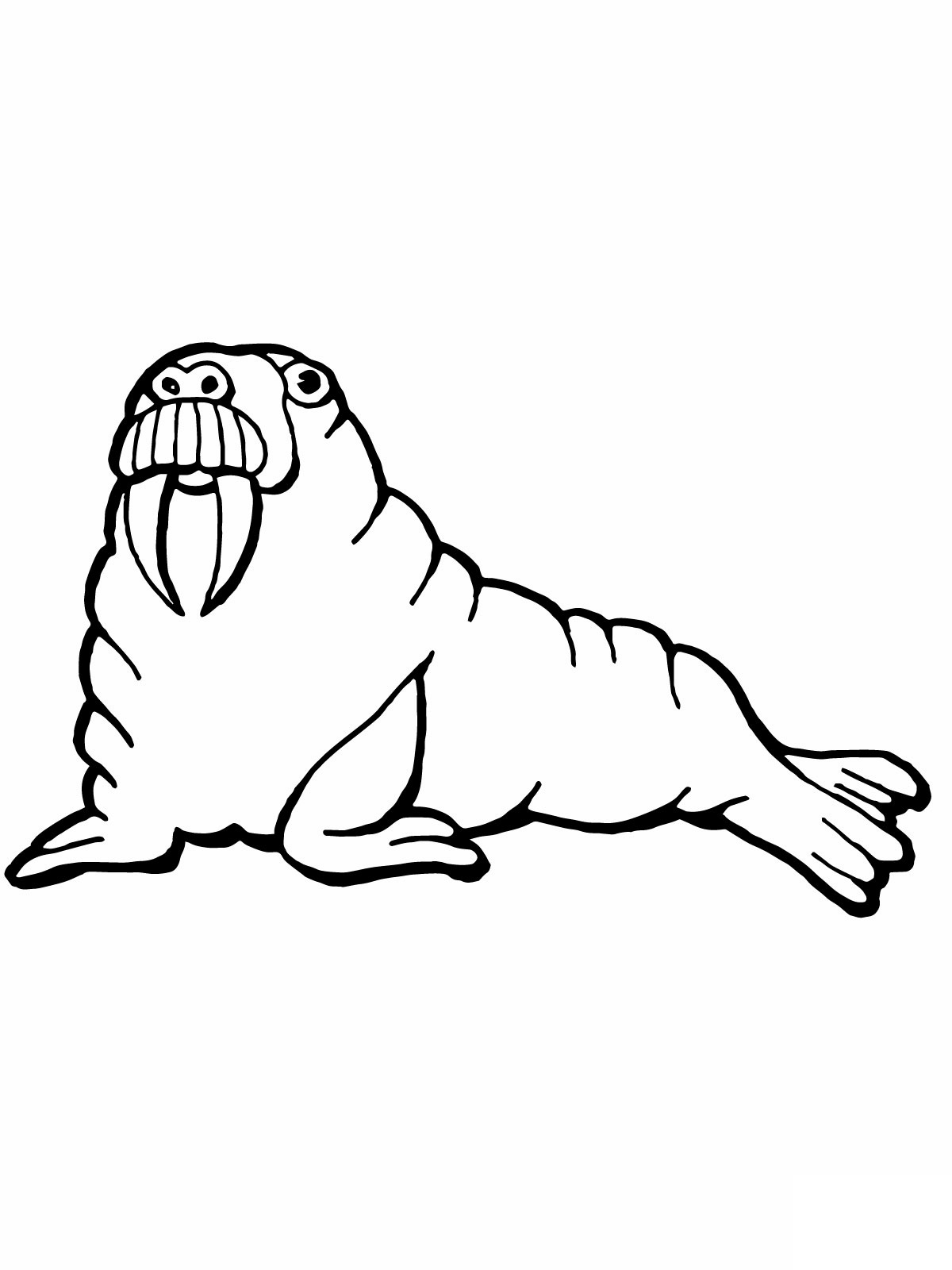 Coloring page: Walrus (Animals) #16530 - Free Printable Coloring Pages