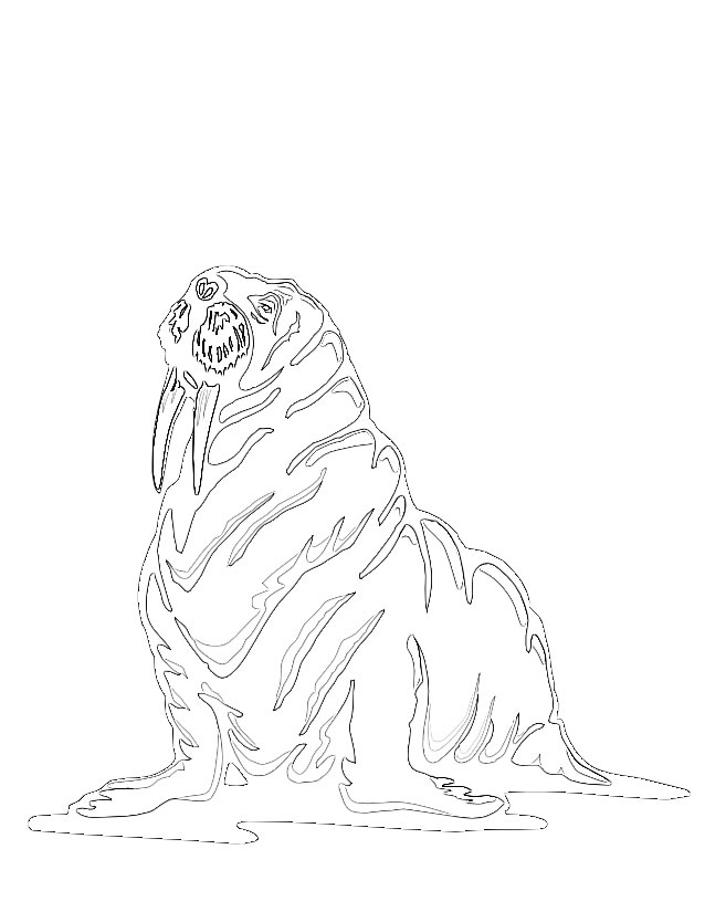 Coloring page: Walrus (Animals) #16574 - Free Printable Coloring Pages