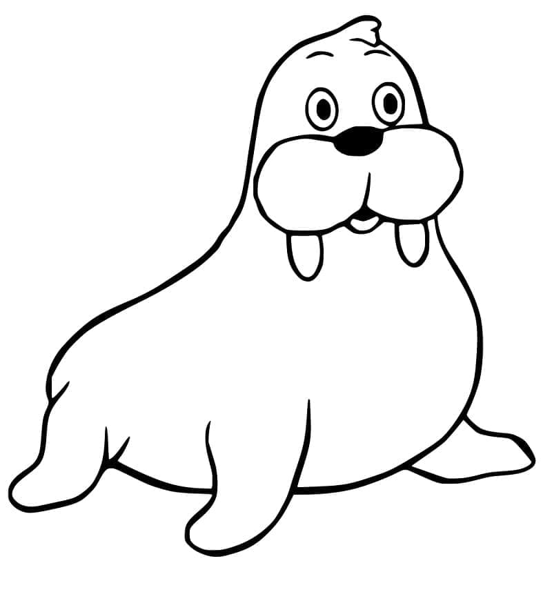 Free printable Walrus coloring page #208669 from Animals collection