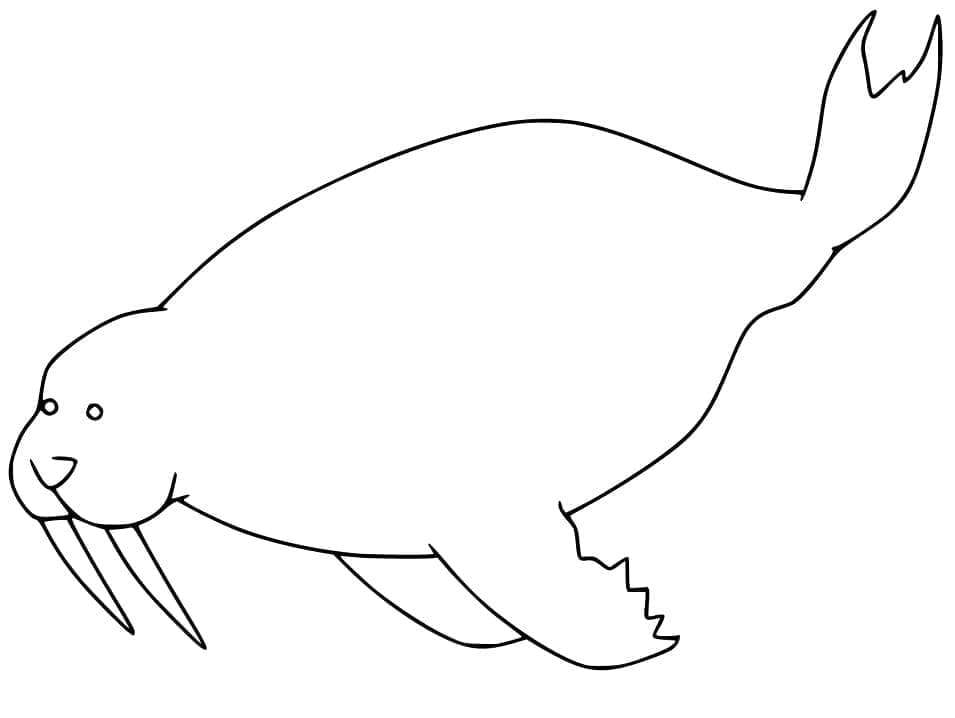Free printable Walrus coloring page #208686 from Animals collection