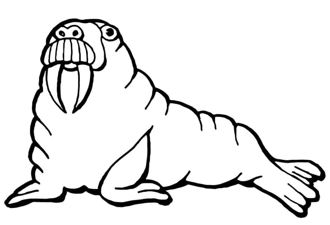 Free printable Walrus coloring page #208707 from Animals collection