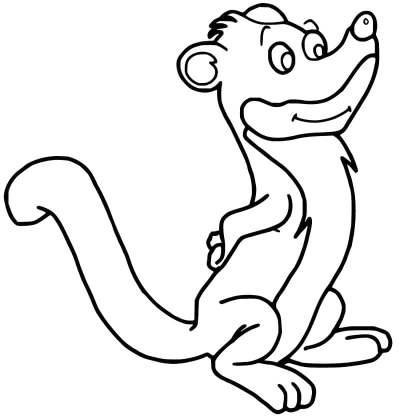 Free printable Weasel coloring page #205425 from Animals collection Free printable Weasel coloring page #205425 from Animals collection
