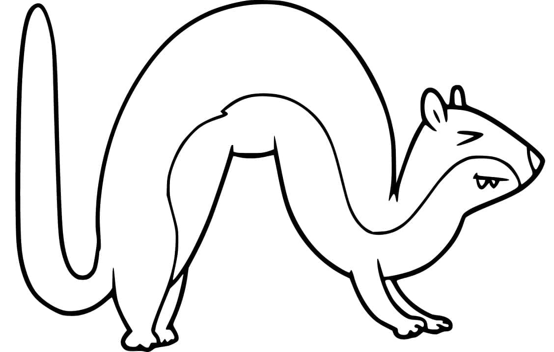 Free printable Weasel coloring page #205428 from Animals collection